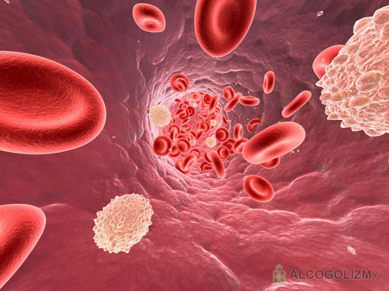 Как очистить кровь от алкоголя в домашних условиях для анализа крови