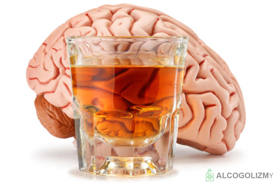 Как вылечить мозг от алкоголя